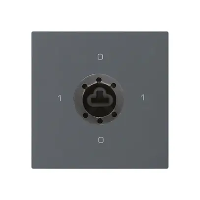 Einsatz zu Schlüsselschalter kallysto 0/2Lan f.Sicherheitsschloss ohne Zylinder 