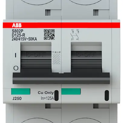Disjoncteur ABB S802P-D125-R 2P 400V D-125A 50kA 3.5UM 