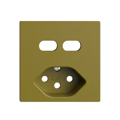 Kit de montage Feller EDIZIOdue pour prise USB 2×type C + type 13 olive 
