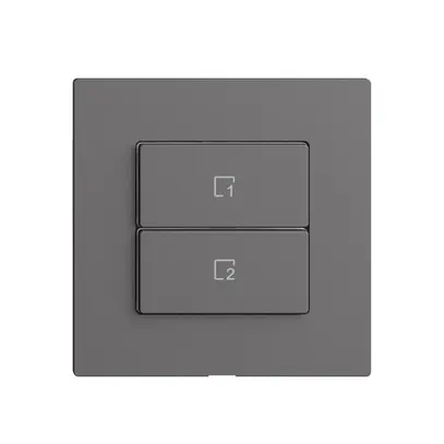 Pulsante scena 2 scene verticale/2T WLAN Edue Wiser grigio scuro 