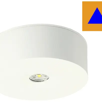 Lampada d'emergenza LED AP AWIL-DL-421-AT-BZS Ø100mm 3.7W 230VAC 1h 240lm 