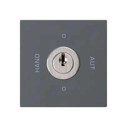 Intérieur interrupteur à clé 0-Hand-0-Aut. kallysto 2/1L anthracite avec serrure 