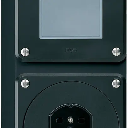 Combi AP 2×1 HA robusto schema 3/tipo 15 con morsetti a innesto nero 