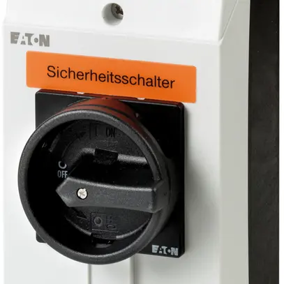 Interruttore di sicurezza ETN 0/3L 1Ch/R 25A maniglia nero 