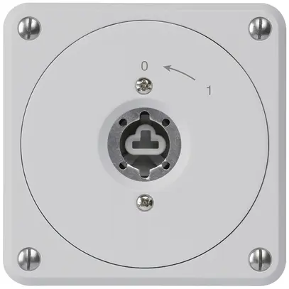 Contact pivotant à clé ENC robusto gris sans clapet sans cylindre 1P combinaison 