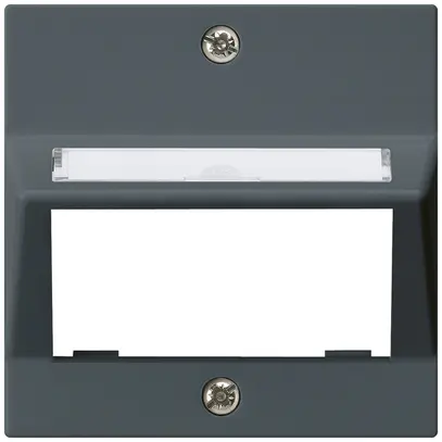 Plaque frontale kallysto pour module multimédia sortie oblique duroplast an 