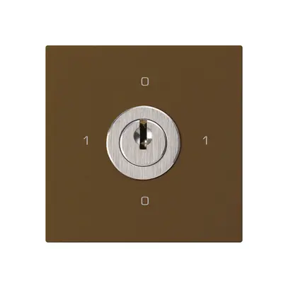 Intérieur interrupteur à clé kallysto 0/2L brun avec serrure Kaba 8 