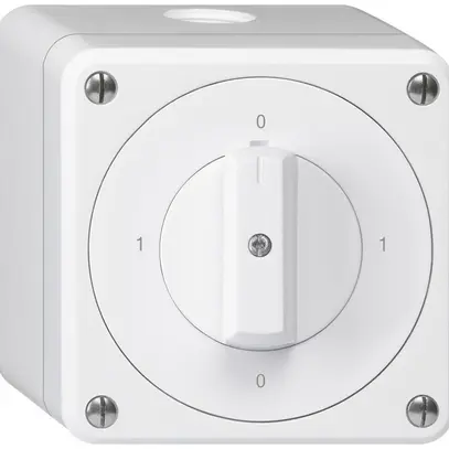 Interrupteur rotatif AP robusto IP55 schéma 0/1P blanc 
