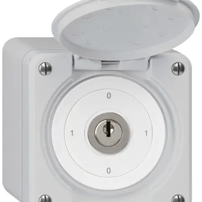 AP-Schlüsselschalter robusto IP55 mit Klappdeckel S0/3P grau 