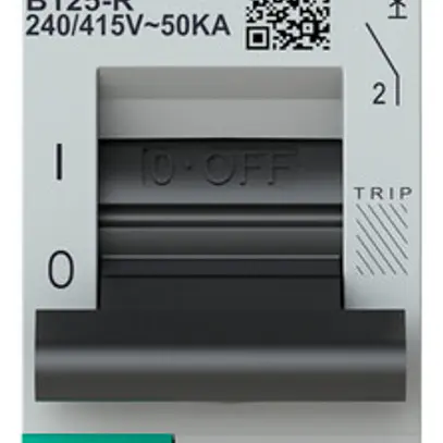 Disjoncteur ABB S801P-B125-R 1P 230V B-125A 50kA 1.5UM 