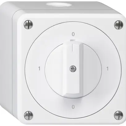 Interrupteur rotatif AP robusto IP55 schéma 0/3P blanc 