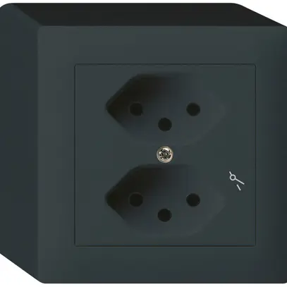 Prise AP kallysto 2×T13/1 noir 