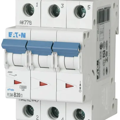 Disgiuntore PLSM-C20 3L 