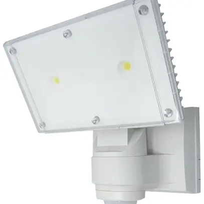 Projecteur LED automatique RL300Aws, 30W blanc 