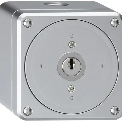Interrupteur à clé AP robusto sans clapet 0/1P aluminium 