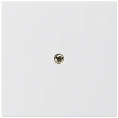 Plaque frontale pleine kallysto blanc 60×60mm 