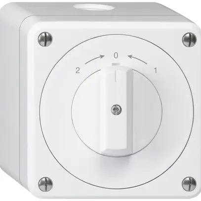 AP-Schwenktaster robusto IP55 weiss Wechsler 