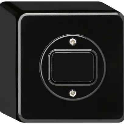 Interrupteur AP basico 3/2L noir 