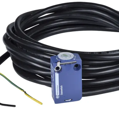 Interruttore di posizione Schneider electric 1NO+1NC con cavo 1 m brusco 