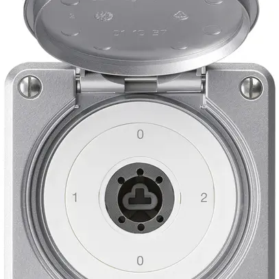 Interruttore a chiave INC robusto IP55 copertura senza cilindro S2/1P alluminio 