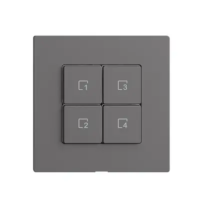 Pulsante scena 4 scene/4T WLAN Edue Wiser grigio scuro 