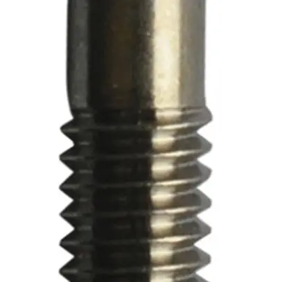 Vite da 2 buchi FH M3.5×23 per presa, 1 vite 