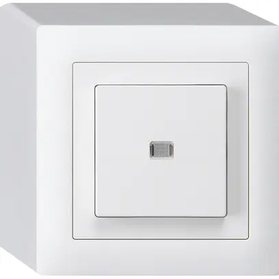Interrupteur poussoir lumineux AP kallysto 3/2L blanc 