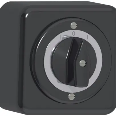 Contatto rotativo AP CLASSIC 2C nero 