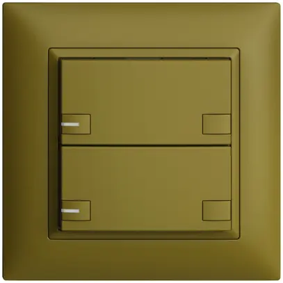 Poussoir ENC KNX 2× EDIZIOdue colore olive RGB avec LED 