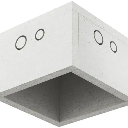 Boîtier INC AGRO ThermoX Lite 170×170×110mm 