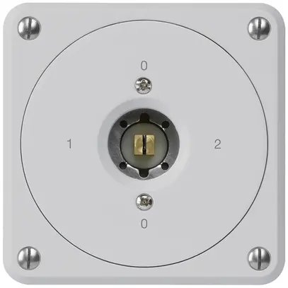 Interruttore a chiave quadrata INC robusto senza coperchio 2/1P grigio combi 