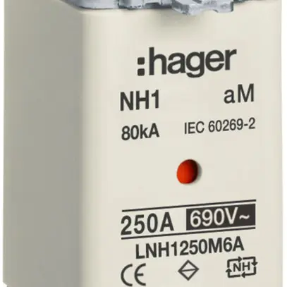 Fusibile HPC Hager DIN1 690VAC 250A aM segnalatore doppio inossidabile 