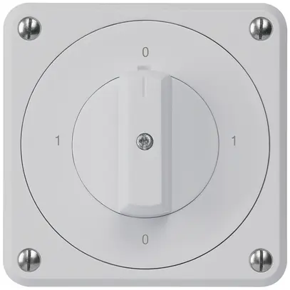 Interruttore rotativo INC robusto IP55 S0/2P grigio per combinazione 