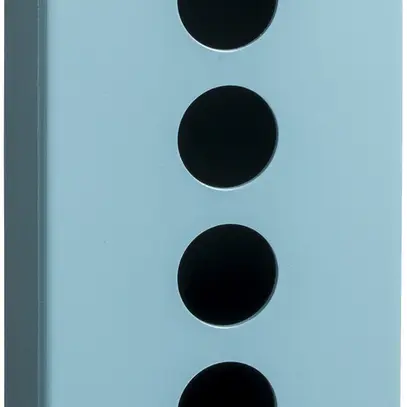 Scatola AP Schneider Electric 80×175×51.5mm blu 4 fori 