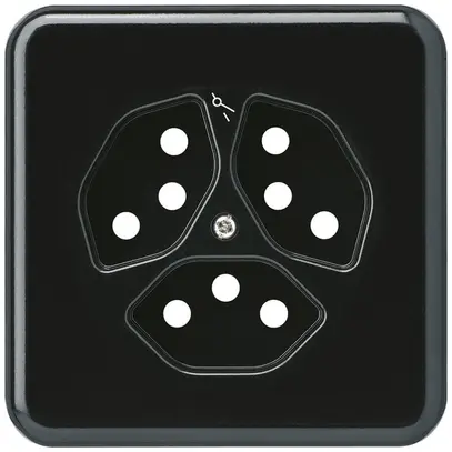 Plaque de recouvrement grd.I 3×type 13/1 noir basico 