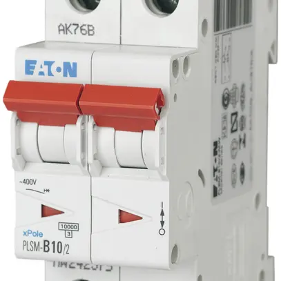 Disgiuntore PLSM-B10 2L 