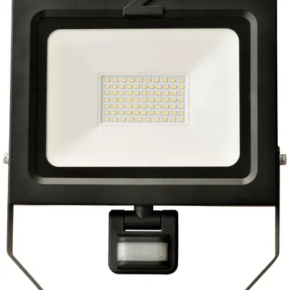 Projecteur LED Z-Licht ZL PIR 50W 5000lm 4000K IK8 IP54 noir 
