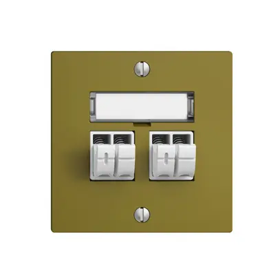Prise audio Push Type EDIZIOdue F, 2×, kit d'inscription, olive 