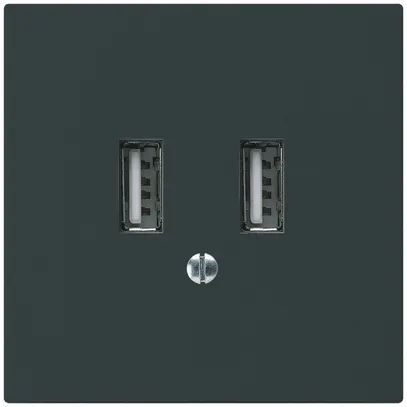 Presa di carica USB INC Hager kallysto A 240V 2400mA nero 