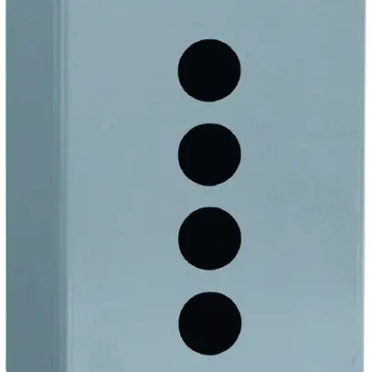Boîtier AP Schneider Electric 80×130×77mm 4 alésages 