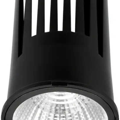 Modulo LED INS per LUDOSPOT 50, 230V 12W 950lm 3000K 28° regolabile nero 