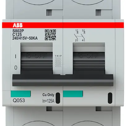 Disgiuntore ABB S802P-C125 2P 400V C-125A 50kA 3.5UM 