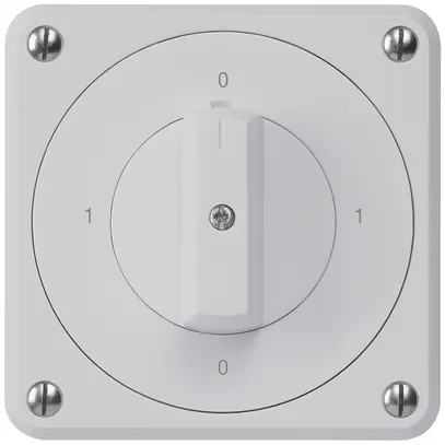 Interruttore rotativo INC robusto IP55 S0/1P grigio per combinazione 