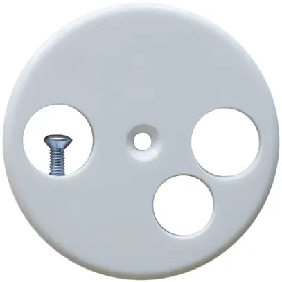 Placca frontale per scatola dati standard bianco 