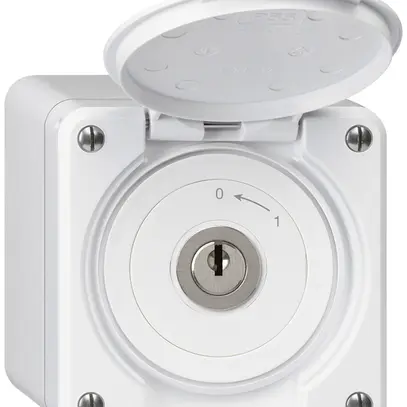 Contact pivotant à clé AP robusto IP55 blanc avec clapet 2P 