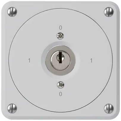 Interruttore a chiave INC robusto senza copertura 0/2P grigio per combinazione 