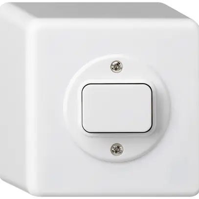 Interruttore AP basico 6/1L bianco 