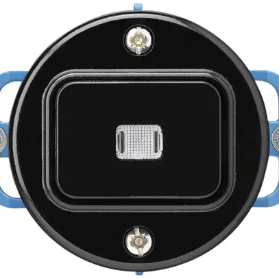 Insert pour interrupteur lumineux ENC basico 3/1 noir 