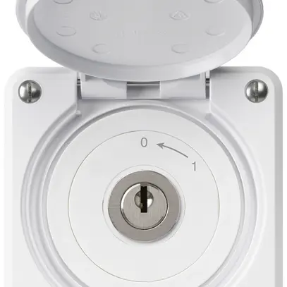 Contatto rotativo a chiave INC robusto IP55 bianco con coperchio 1P combinazione 