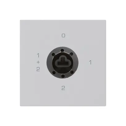 Inserto interruttore a chiave kallysto 1/1L grigio chiaro p.serratura s.cilindro 